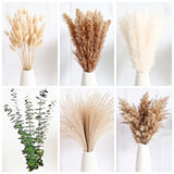 110 PCS of Boho Pampas Grass Decor, Naturally Dried Pompas, Bunny Tails Dried Pampas Grass