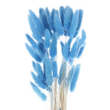 60pcs Natural Bunny Tails Dried Flowers 24" Mini Pampas Grass, Navy Blue Dried Flower