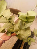 Artificial Eucalyptus Stem Green Round Leaf Faux Branch Long Stem Floral Decor Green Plant