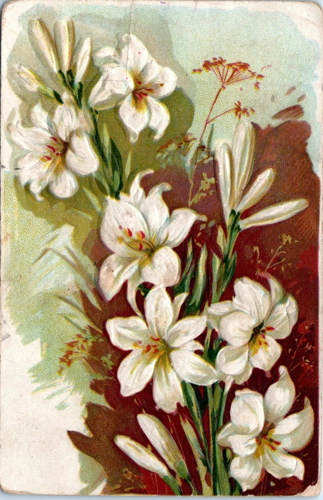 Vintage - Lovely White Lilies Flowers Embossed - Postcard - P14 Lily