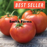 50+ Seeds Big Boy Tomato Hybrid Juicy Easy to Grow Vegetable Garden Planting Garden Plants