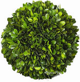 Boxwood Decorative Ball Preserved Real Boxwood Leaves Green Plants Home Decor... Green Plant