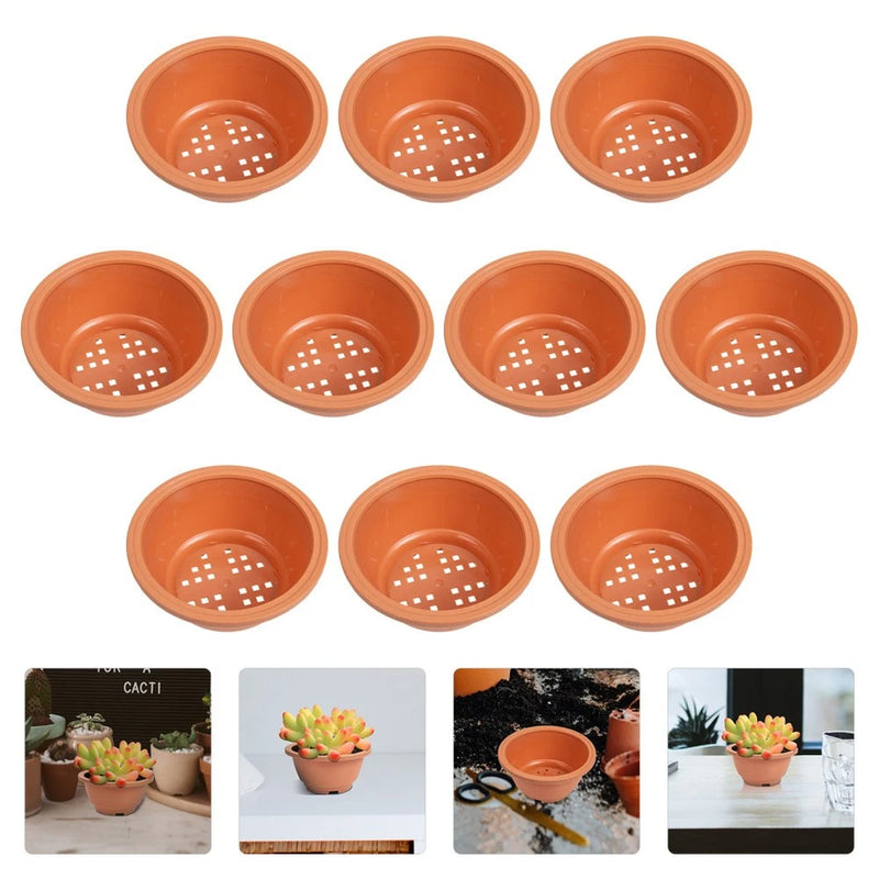 10 Pcs Small Pots for Succulents Planter Mini Containers Garden Flower Garden Plants