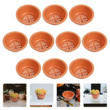 10 Pcs Small Pots for Succulents Planter Mini Containers Garden Flower Garden Plants