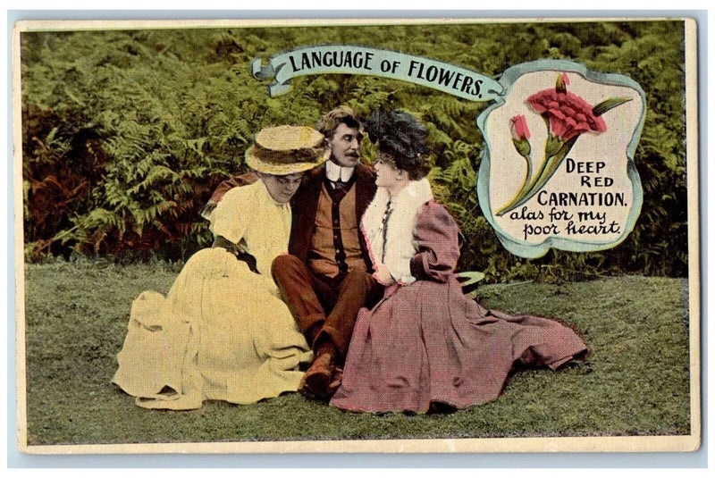 Language Of Flowers Romance Postcard Deep Red Carnation Alas For My Poor Heart Carnation