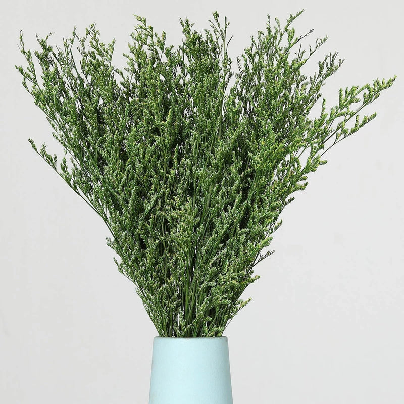 Dried caspia flower bouquet with green stems in a light blue vase