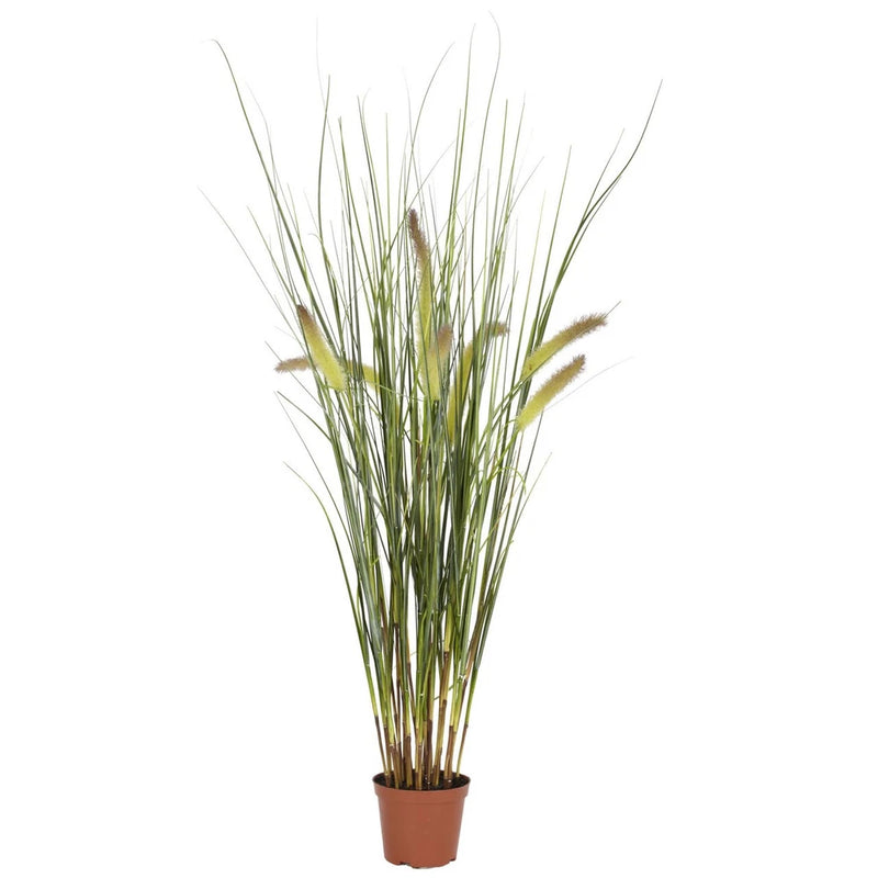 2.5 ft Silk Grass Plant Green Plant