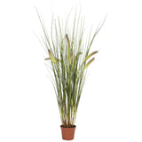 2.5 ft Silk Grass Plant Green Plant