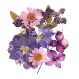 Dried Pressed Flowers Real Dry Leaves Pressed Flower for DIY Crafts Purple Dried Flower