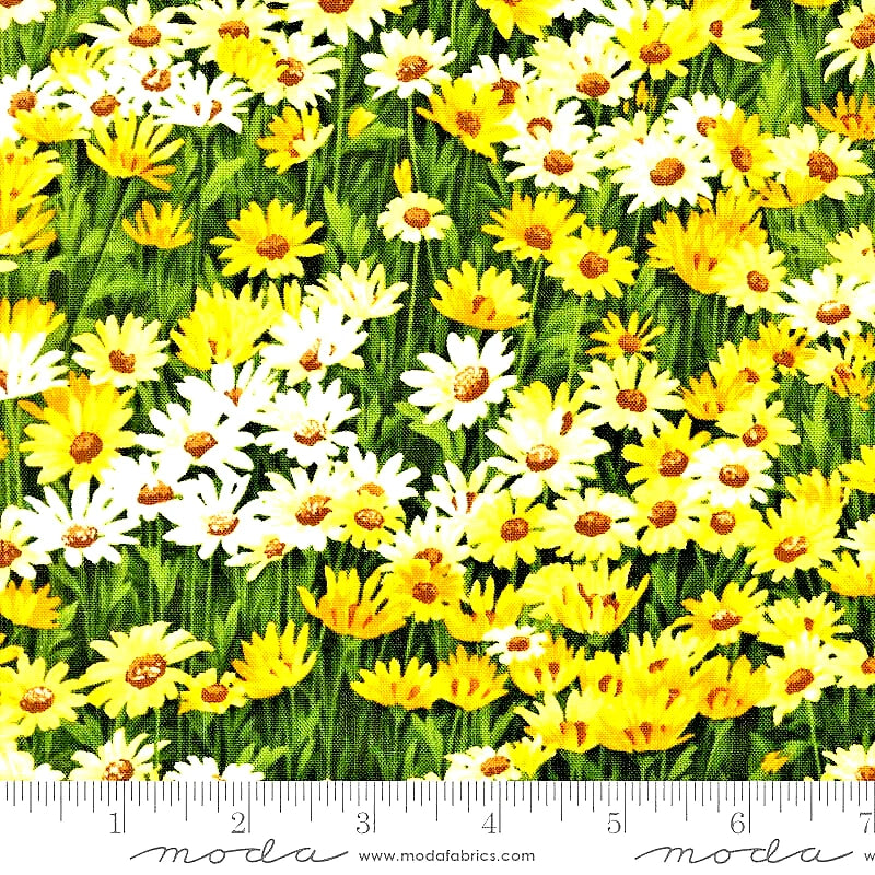 Moda Fabrics The "WILDFLOWERS VI 33773 14 "SUNSHINE" BTY Flowering Plants