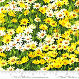 Moda Fabrics The "WILDFLOWERS VI 33773 14 "SUNSHINE" BTY Flowering Plants