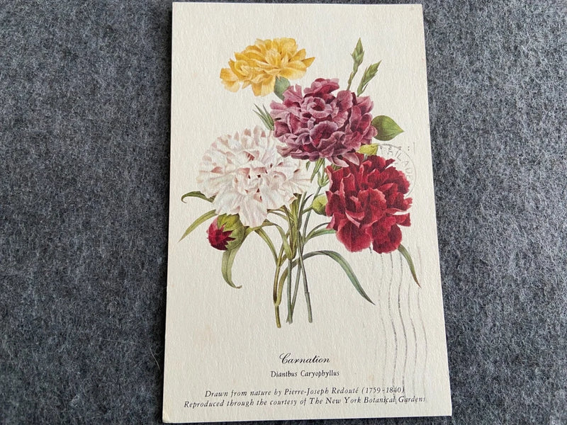 Vintage flower postcard with bouquet of carnations in pink and yellow, text at bottom
