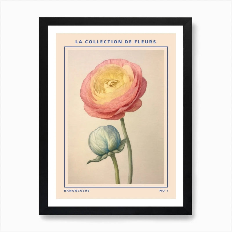 Ranunculus French Flower Botanical  Framed Wall Art Poster Canvas Print Picture Ranunculus