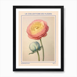 Ranunculus French Flower Botanical  Framed Wall Art Poster Canvas Print Picture Ranunculus