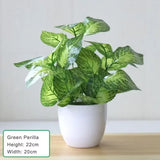 Lifelike Artificial Bonsai Plant - Potted Fake Plant for Home Office Living Roo Green Plant