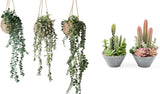 3 Pack Fake Hanging Plants & 2 Pack Artificial Succulents for Home Decor Green Plant