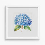 Framed Blue Hydrangea Art Print 12x12" White Wooden Frame Watercolor Style NEW Hydrangea