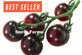 50+ Seeds Indigo Rose Tomato Hybrid Juicy Easy to Grow Vegetable Garden Garden Plants