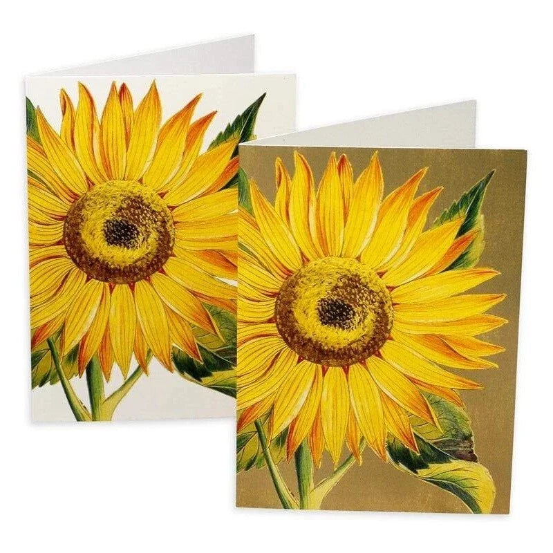 Sunflower note cards with two yellow blooms on green leaves, boxed stationery set
