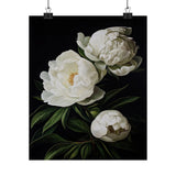White Peony Flowers Poster, White Flower Art Print, Floral Artwork 20 Peony