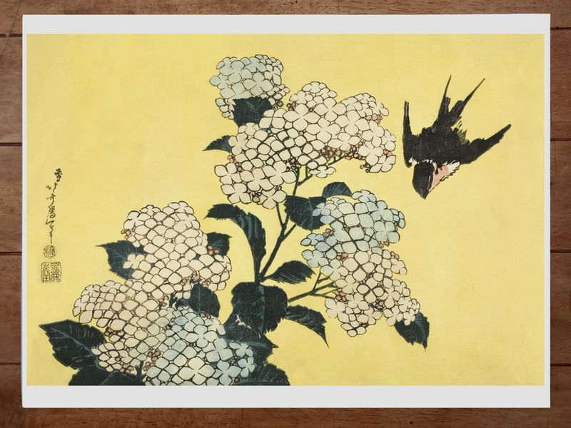 Hydrangea and Swallow, from an untitled series of large flowers Poster 18x24in Hydrangea