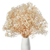 Dried Baby's Breath Flowers Bouquet 17 inch Natural White Dried Flowers Babys... Dried Flower