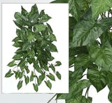 29" Nephthytis ArrowHead Hanging Bush (Pack of 6) Artificial Silk Plant 67 Green Plant
