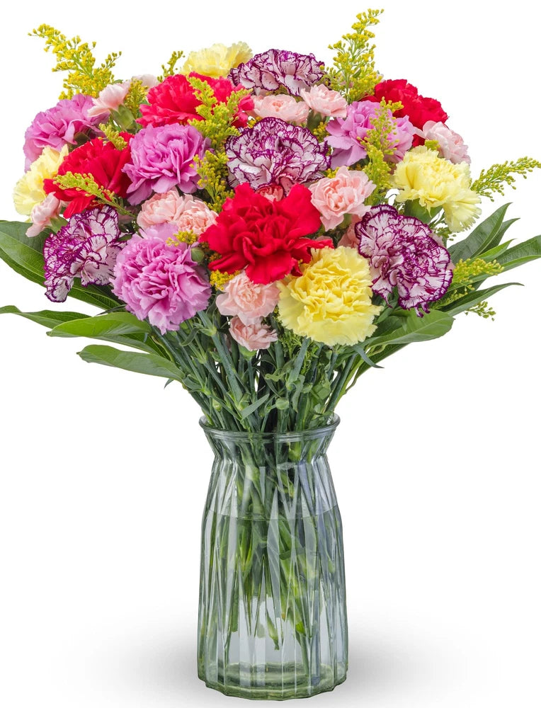 Carnation flower bouquet with clear glass vase, mixed pink, red, yellow blooms