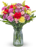 25 Stem Seasonal Carnations with Vase - Fresh Flowers for Next Day Delivery Carnation