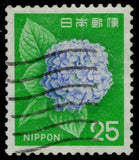 JAPAN 1072 - Cultural Heritage "1972 Hydrangea Flowers" (pc50246) Hydrangea