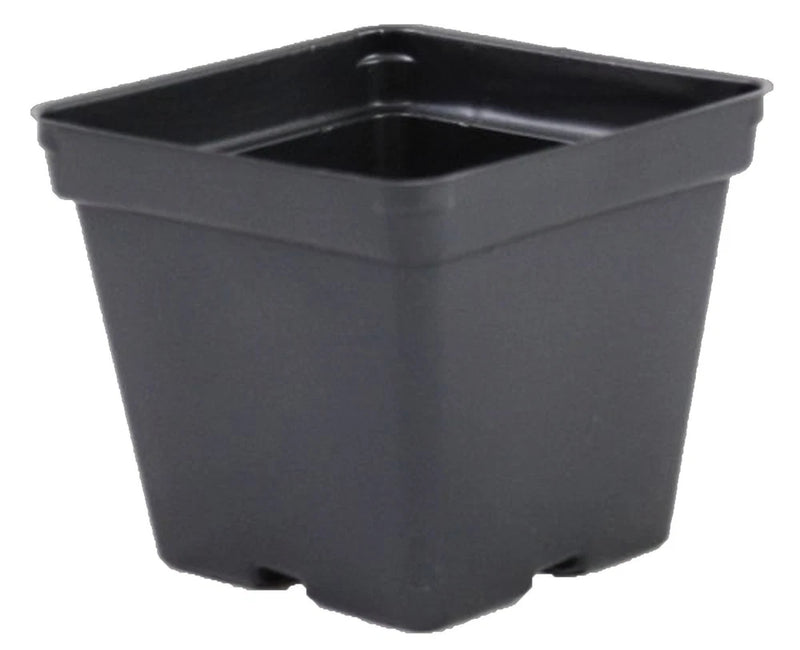 Square Pots 4.25" P107 - Greenhouse Growing Vegetables, Flowers, Herbs - 50 Ct Garden Plants