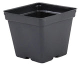 Square Pots 4.25" P107 - Greenhouse Growing Vegetables, Flowers, Herbs - 50 Ct Garden Plants