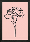 Carnation Flower Minimalist Line ar Framed Wall Art Poster Canvas Print Picture Carnation