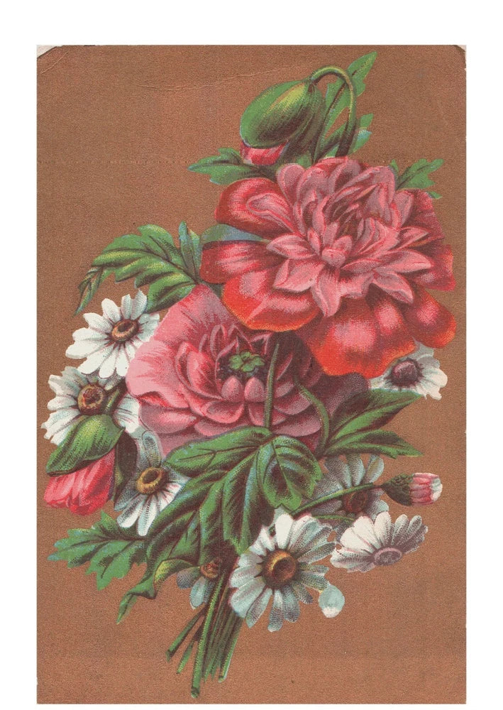 Antique postcard with pink carnations and white daisies in a floral bouquet