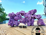 15 lbs Purple Coraline SMALL ONLY Dry Reef Base Rock, Lightweight, Porous, Live Anemone