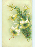 Divided-Back BEAUTIFUL EASTER LILY FLOWERS : make an offer o9003 Lily