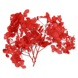 10g Mini Dried Hydrangea Flower Natural Pressed Flower Real Hydrangeas Red Dried Flower