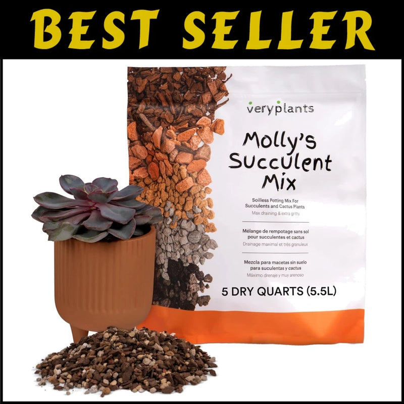 Molly's Gritty Succulent & Cactus Soil Alternative - 5.5 Liters of Excellence Orchids