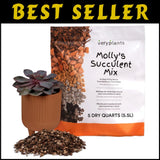 Molly's Gritty Succulent & Cactus Soil Alternative - 5.5 Liters of Excellence Orchids