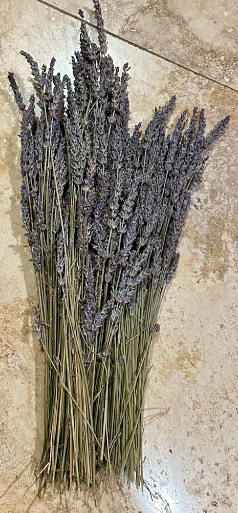 Dried lavender bundle with long purple stems, dense flower heads