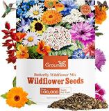 All Perennial Wildflower Seeds Bulk, 1/4 Lb, 100,000+ Seeds, 26 Variety Mix Garden Plants