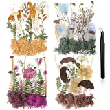 Nuanchu Pressed Flowers Bulk Dried Flower for Crafts, Dried Vintage Style Dried Flower
