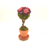 Handmade Small Topiary Dried Flower Arrangement w/ Mini Roses Ð 4-Petal Dried Flower