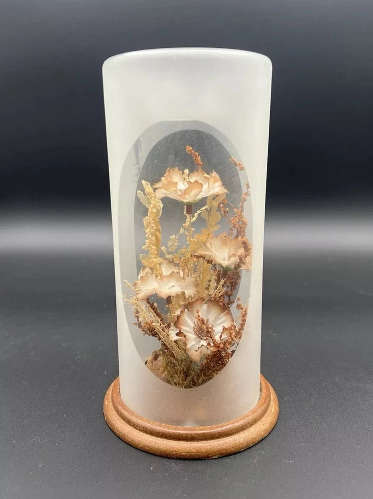 Terrarium Dome Display Dried Flowers Wood Base Cloche 1970s 7.75Ó Vintage Dried Flower