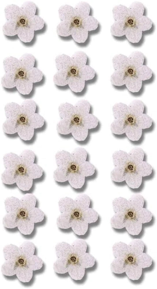 Set of dried pressed forget-me-not flowers, white with yellow centers (20-pack).