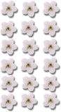 20Pcs White Forget Me Not Flowers Dried Pressed Flowers for Resin,Candle,Epoxy R Dried Flower