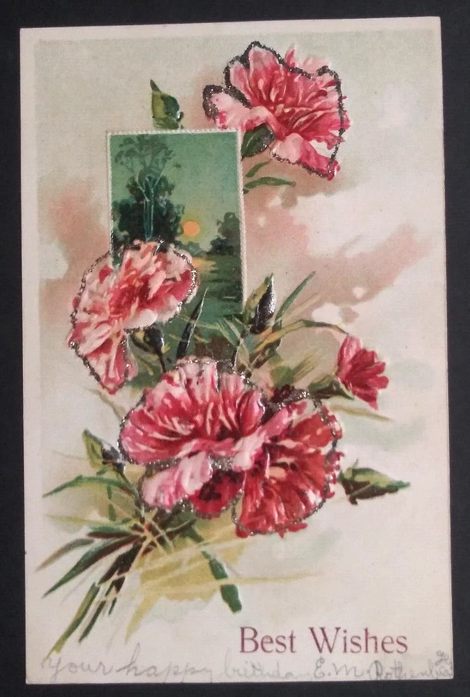 Vintage carnation flowers embellished postcard with 'Best Wishes' text and red blooms