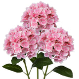 Large Single Headed Pink Hydrangea 26" Artificial Hydrangea Flowers Fake Hydr... Hydrangea