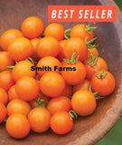 50+ Seeds Orange Sunshine Tomato Easy to Grow Vegetable Garden Planting Garden Plants