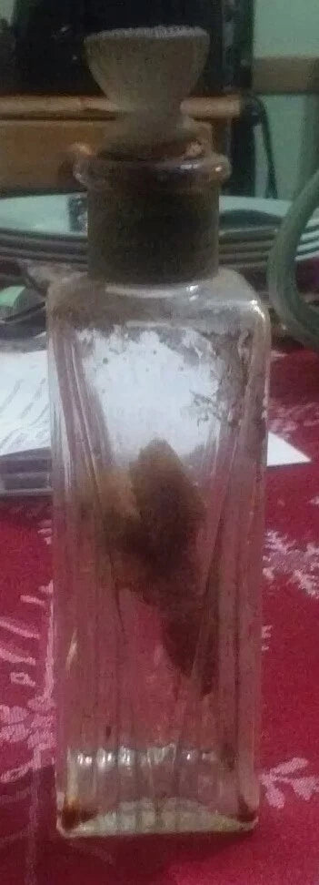 Clear glass decorative bottle with brown stopper and dried flower inside